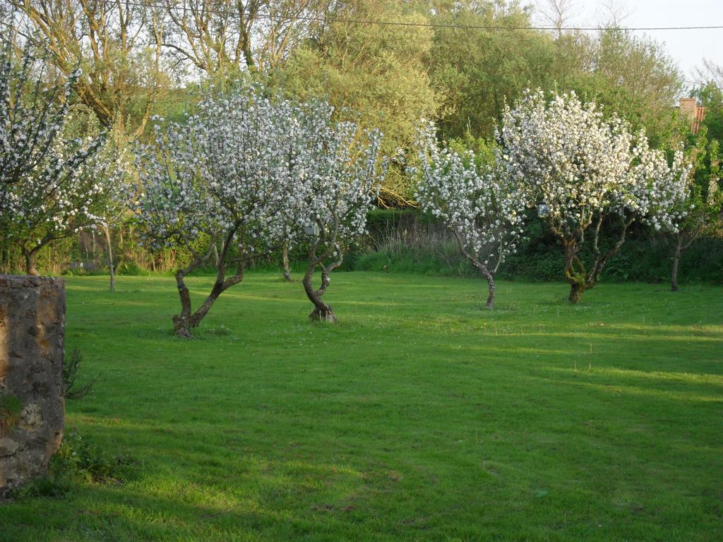 וימרה Domaine De La Ronville מראה חיצוני תמונה